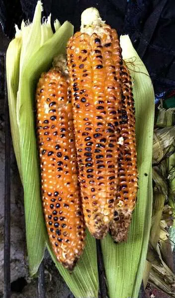 Mi Ranchito Deli Food Truck Picture 2