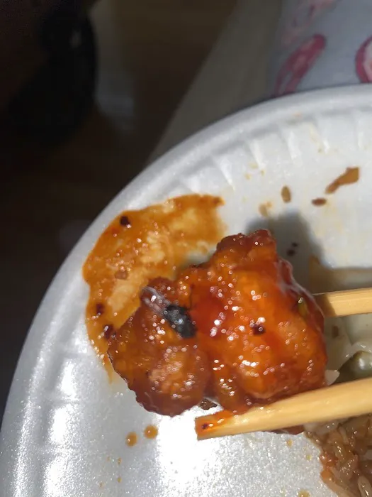 Dragon City Picture 6