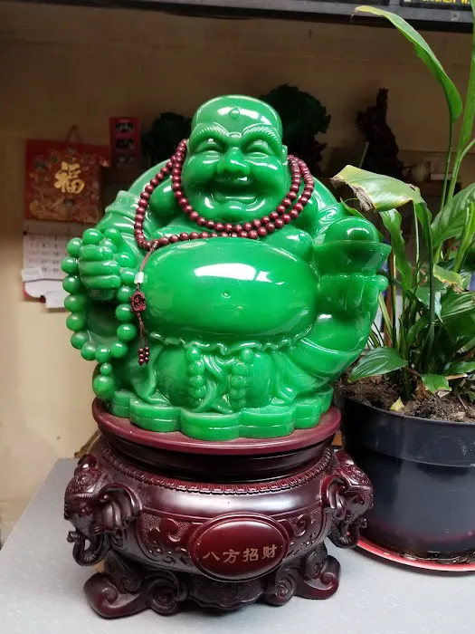 Dragon City Picture 5