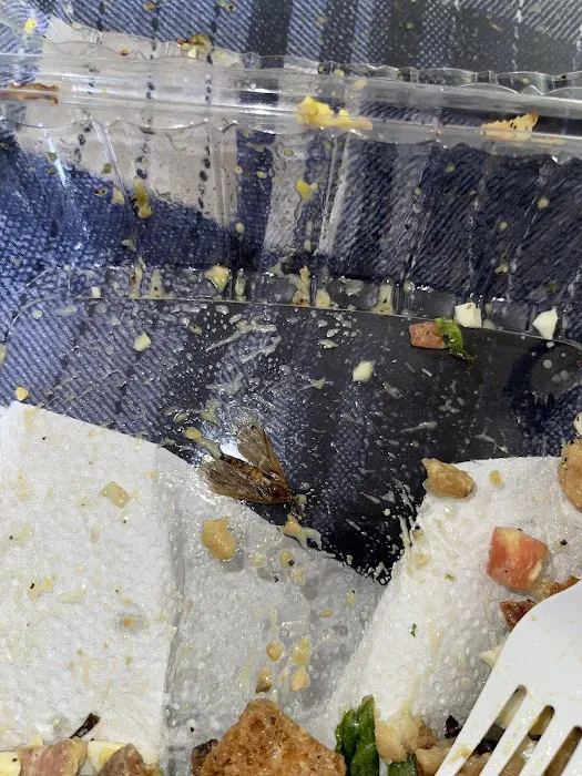 Planet Wings Picture 5