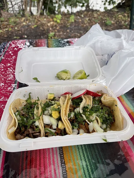 Tacos el coyote hambriento Picture 7