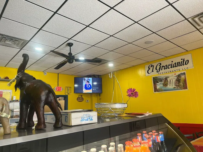 El Gracianito Restaurant Picture 3