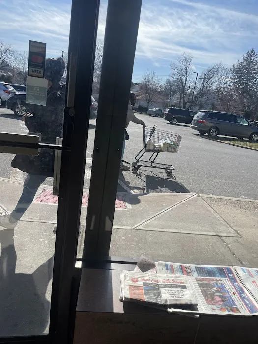 Panda Garden Picture 7