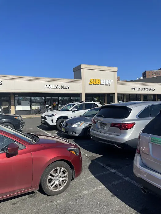 Panda Garden Picture 8