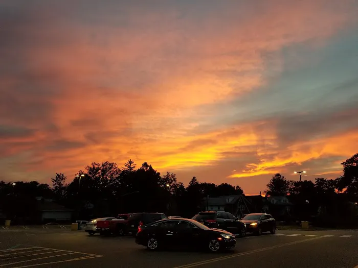 Panda Garden Picture 1