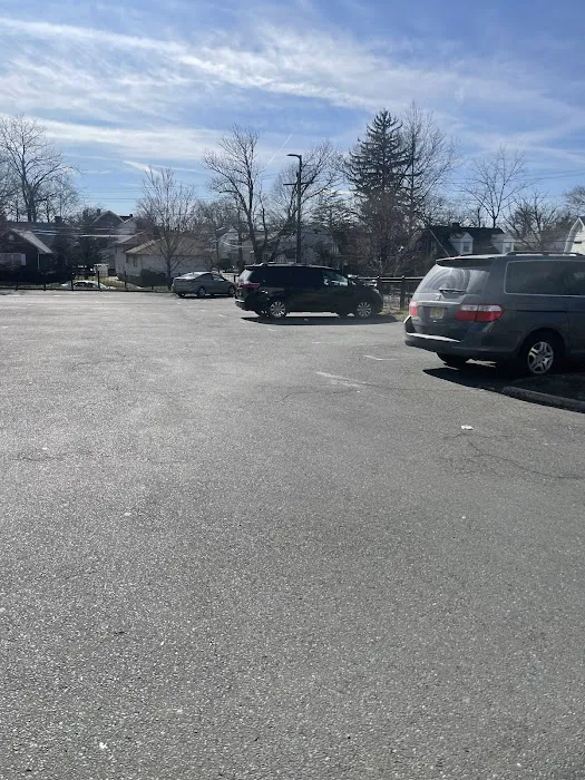 Panda Garden Picture 10