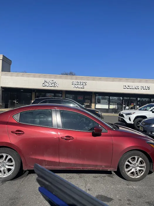 Panda Garden Picture 5