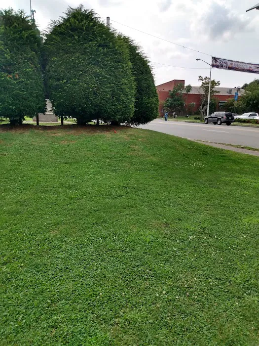 Yummy Chinese Take Out Picture 7