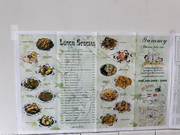 Yummy Chinese Take Out Picture 3