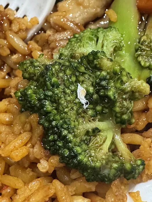 Great Wall Picture 1