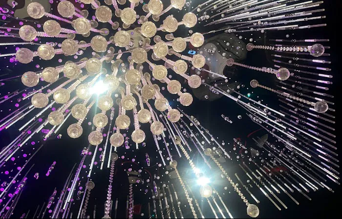 Oko Fine Cuisine Picture 8