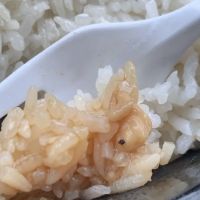 Jiahua Restaurant ico