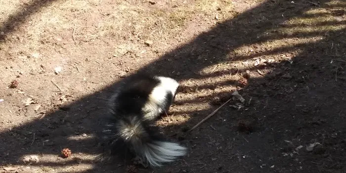 Raquel's Spanish Spot Restaurant Picture 6