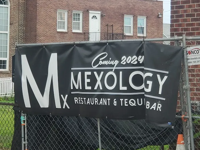Mexology Bar and Restaurant Picture 1