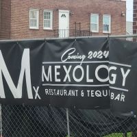 Mexology Bar and Restaurant ico