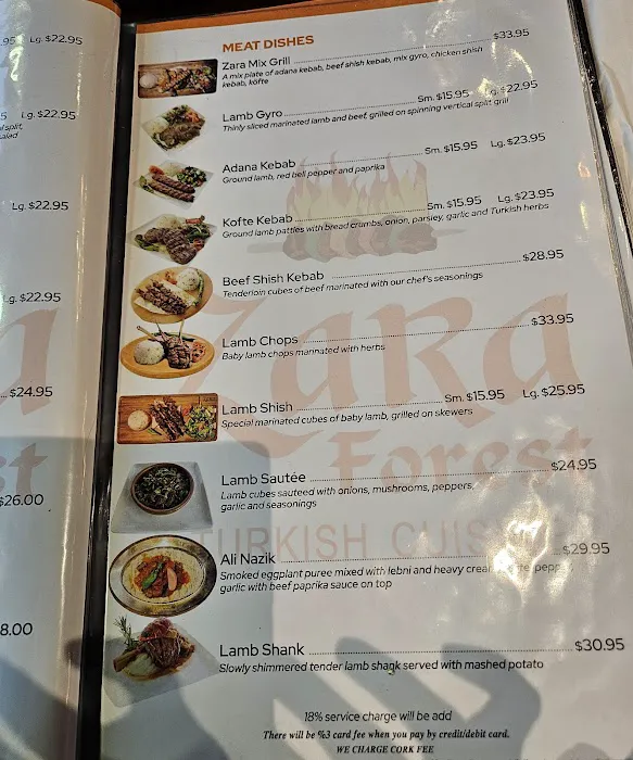 Zara Forest Grill Picture 9