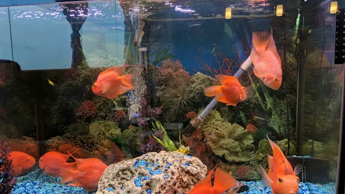 Mizu Japanese Restaurant Picture 9