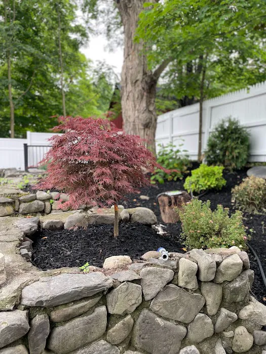 Cancun Inn Picture 2