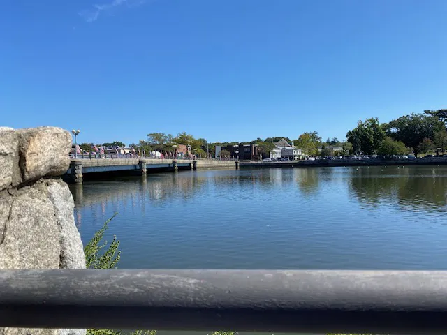 Arezzo Ristorante Picture 10