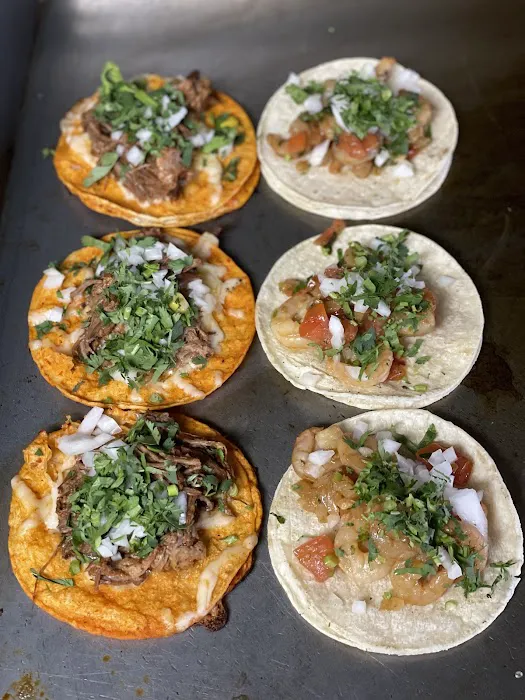 Salsa Brava Picture 6