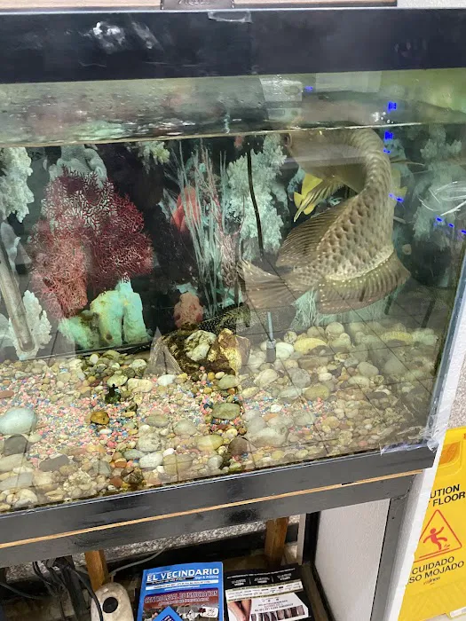 Chef King Inc Picture 1