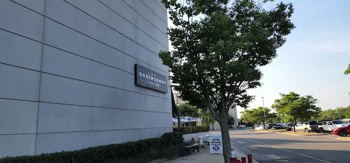 Gastronomy Restaurant Picture 1