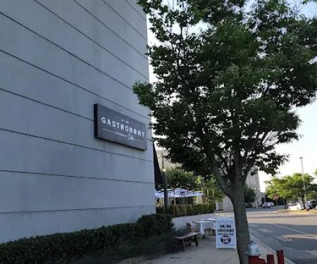 Gastronomy Restaurant