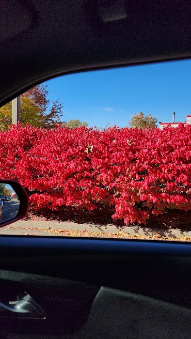 Burger King Picture 7