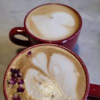 Beacon Bread Company ico