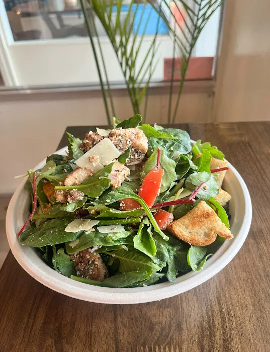 Butterhead Salad Company Picture 1