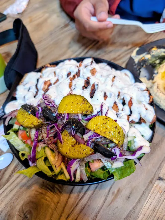 Tara Indian and Middle Eastern Fusion Cuisine Picture 4