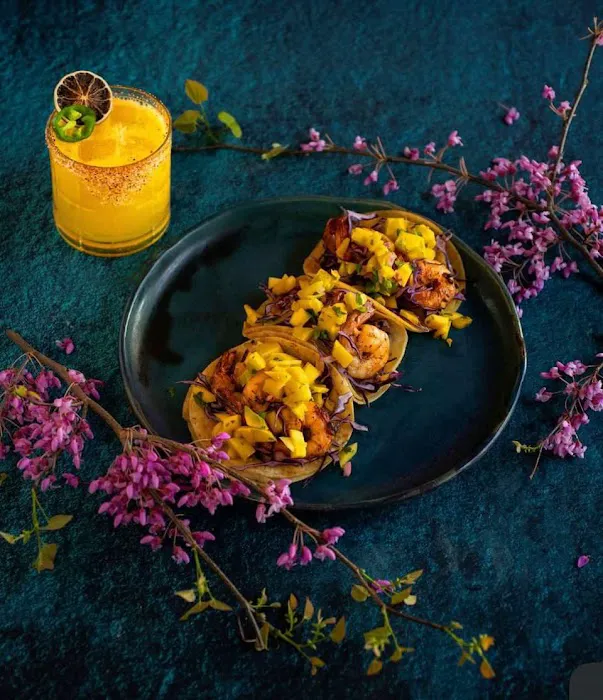 Dulce Cielo MX Picture 2