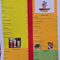 Chickenlandia USA ico