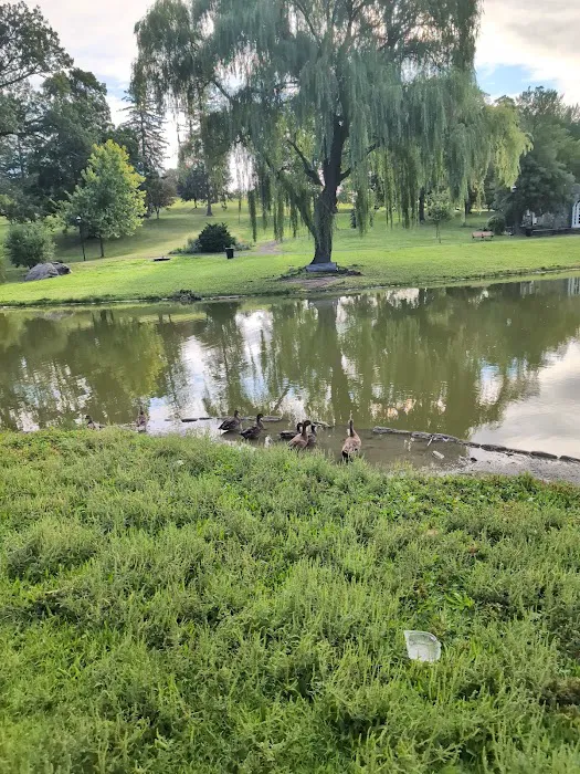 Tony's Newburgh Lunch Picture 4