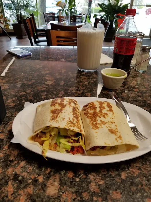 Alejandra's Picture 3