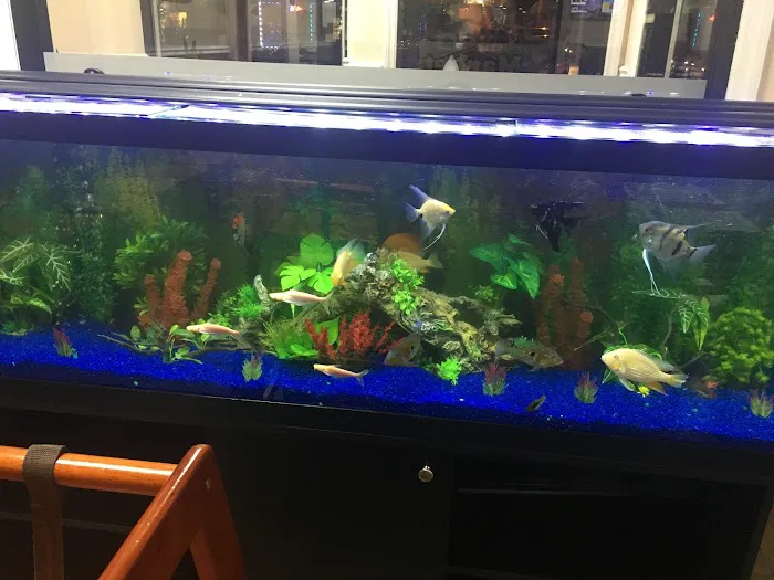 Market BBQ #2 Picture 10