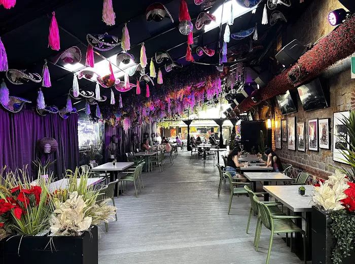 Little Tijuana Picture 3