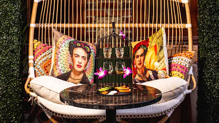 Little Tijuana Picture 7