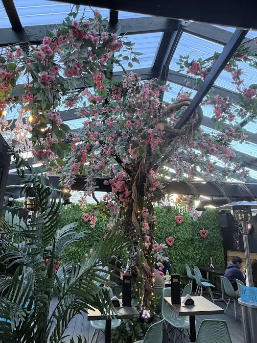 Peru Taypa Picture 5