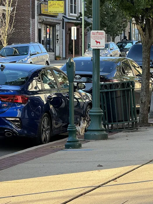 China Star Picture 4