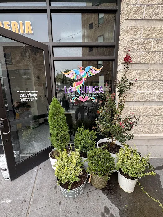 La Unica Tacos & Tequila Picture 2