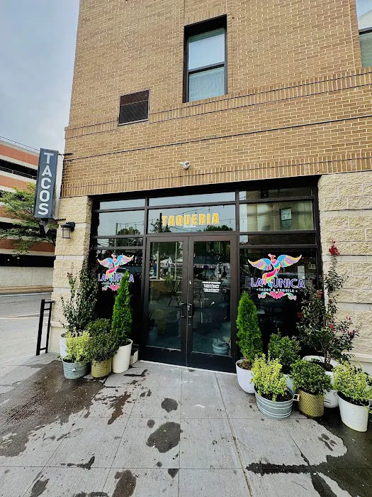 La Unica Tacos & Tequila Picture 3