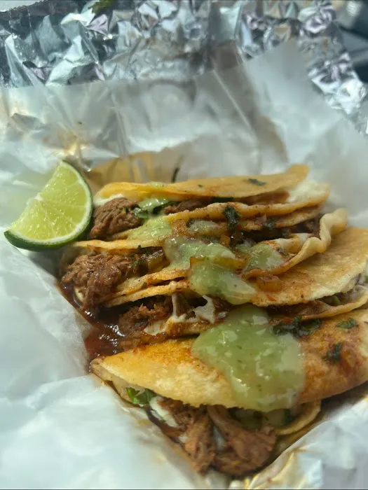 Jalapeño De Fuego Picture 6