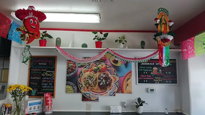 Jalapeño De Fuego Picture 8