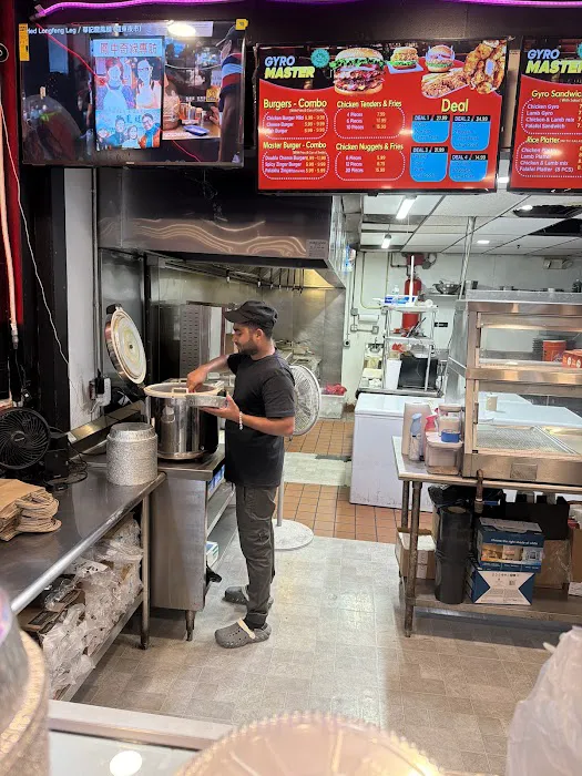 Halal Gyro Master Picture 10