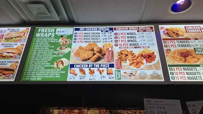 European Republic Picture 6