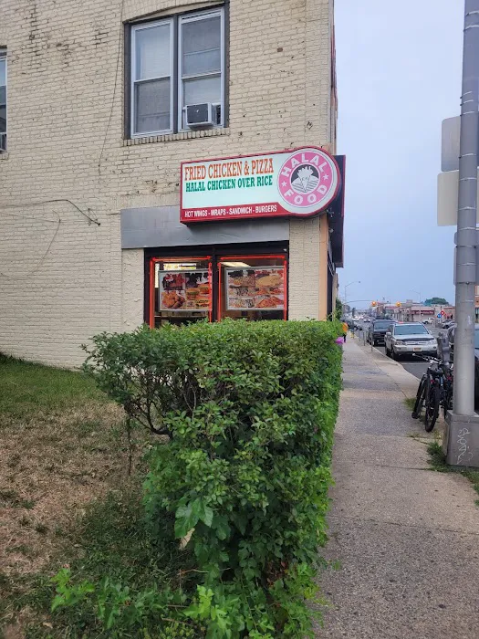 European Republic Picture 5