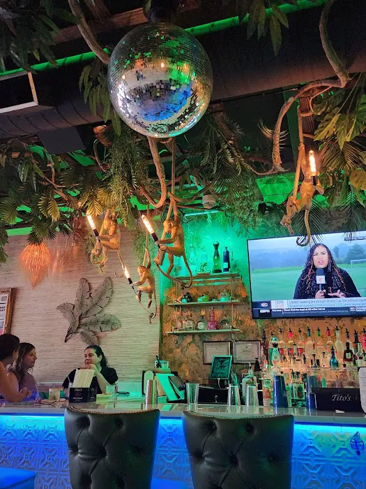 Bongo Burrito Picture 3