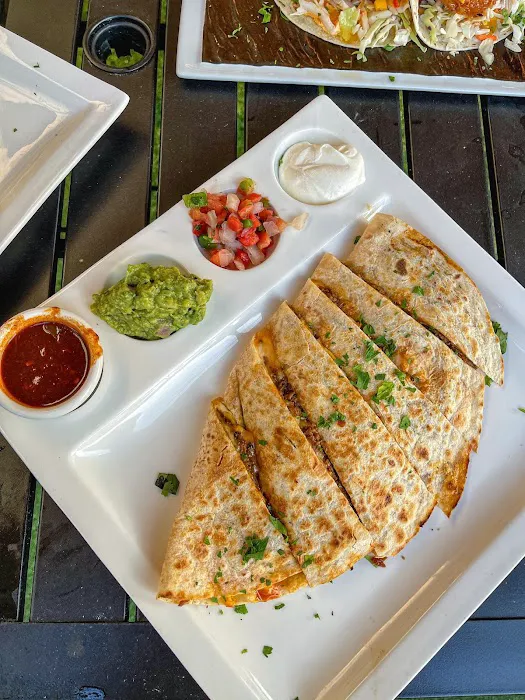 Bongo Burrito Picture 7