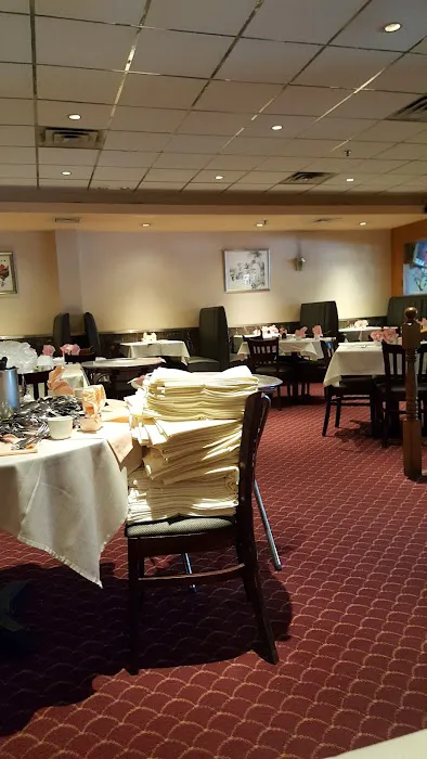 China New Star Picture 9